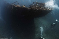   This famous wreck Kingston Shag rock reef. near Thistlegorm reef  